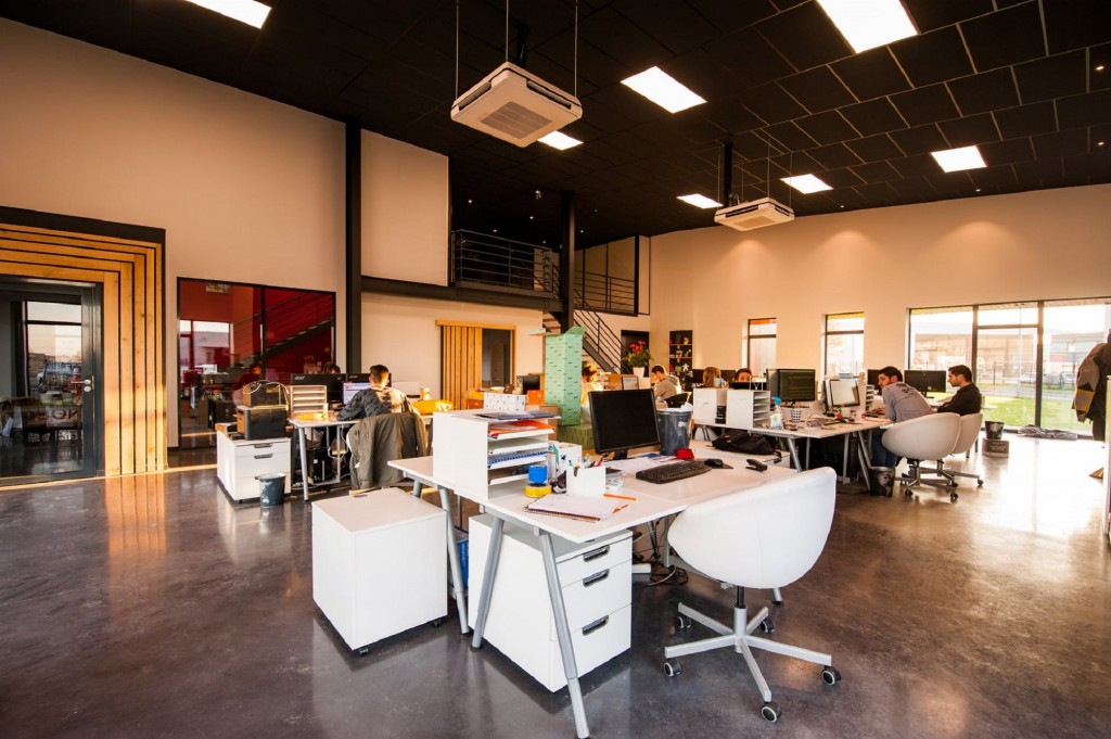 employees working in an office